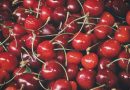 Sæsonens sødeste sager: Kirsebær i overflod